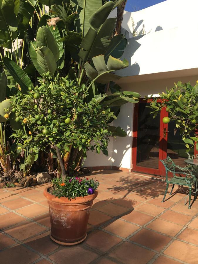 The Oasis Boutique Hotel & Residency Johannesburg Esterno foto